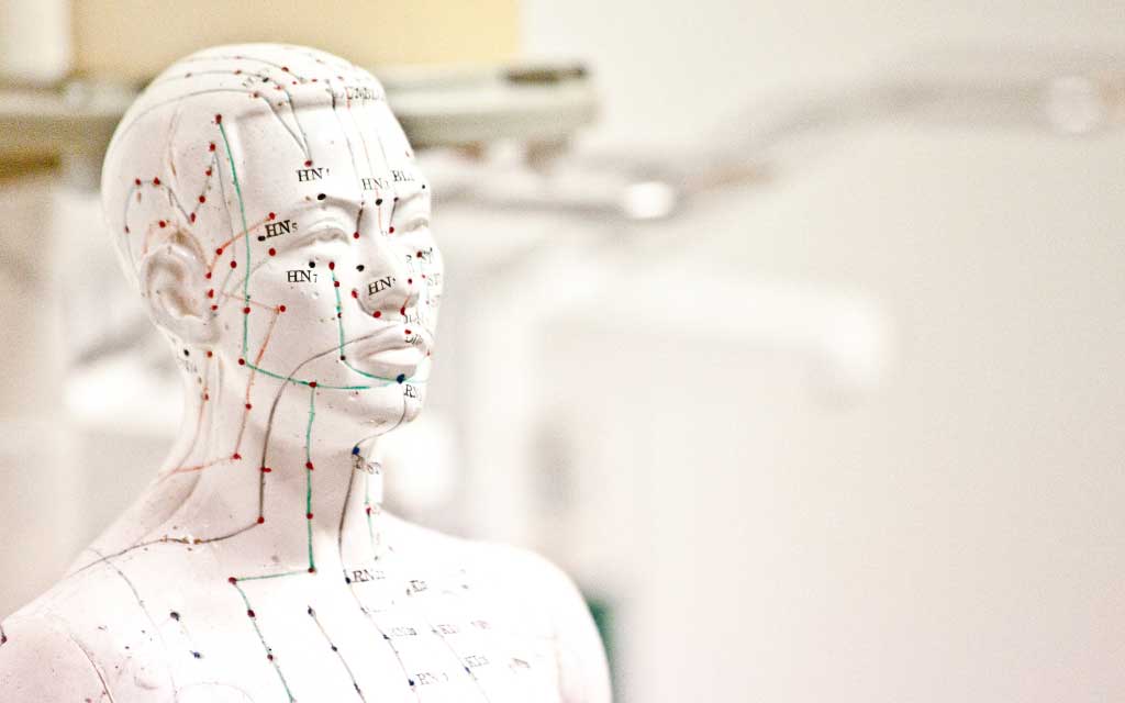 Modèle-anatomique-montrant-les-points-d'acupuncture-sur-le-visage-et-le-cou-curatia-centre-médicale-à-ixelles